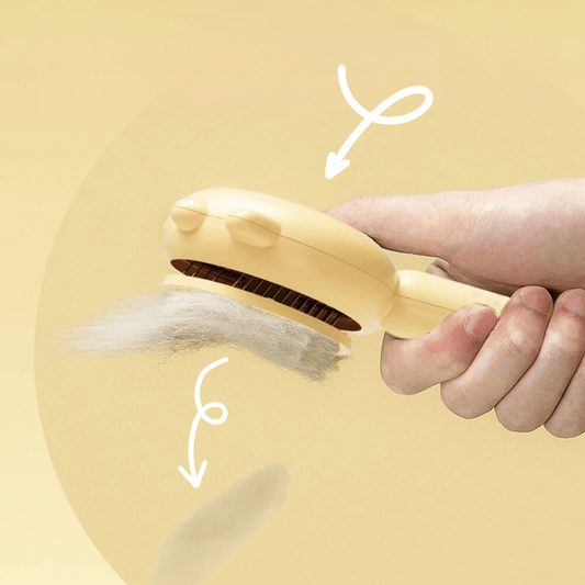 Brosse magique pour animauxPurravia Pet Living Store