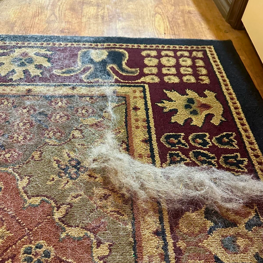 Éliminateur de poils d’animauxPurravia Pet Living Store