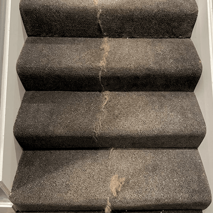 Éliminateur de poils d’animauxPurravia Pet Living Store