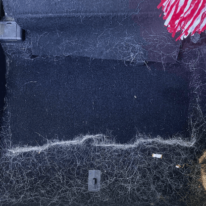 Éliminateur de poils d’animauxPurravia Pet Living Store