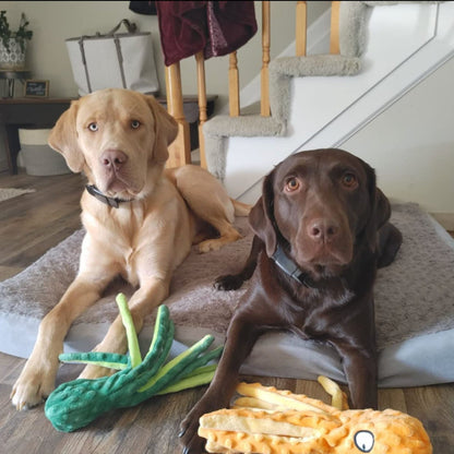 Jouet poulpe résistant à la masticationPurravia Pet Living Store